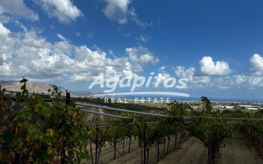 ΚΑΛΕΣΑ ΚΑΤΩ