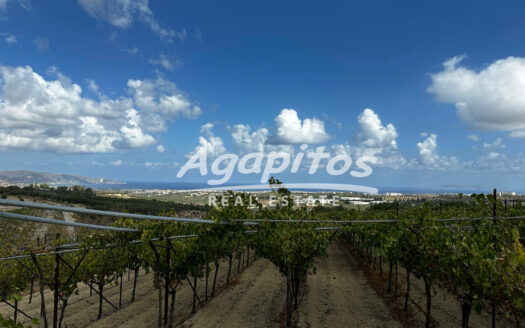 ΚΑΛΕΣΑ ΚΑΤΩ