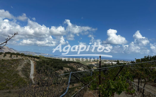 ΚΑΛΕΣΑ ΚΑΤΩ