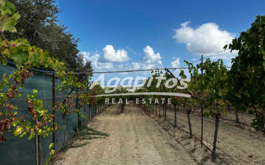 ΚΑΛΕΣΑ ΚΑΤΩ