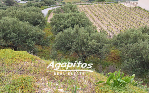 ΑΓΙΟΣ ΒΛΑΣΙΟΣ