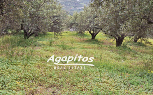 ΑΓΙΟΣ ΒΛΑΣΙΟΣ