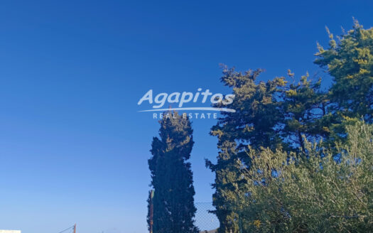 ΒΑΣΙΛΕΙΕΣ