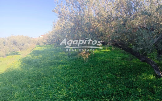 ΒΑΣΙΛΕΙΕΣ