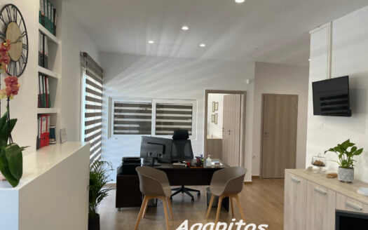 ΘΕΡΙΣΟΣ