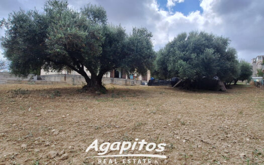 ΑΓΙΟΣ ΙΩΑΝΝΗΣ ΚΝΩΣΣΟΥ
