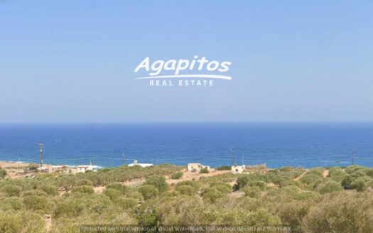 ΚΑΤΩ ΣΕΛΛΕΣ