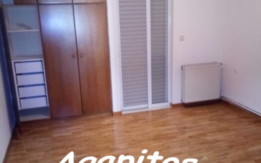 ΑΛΙΚΑΡΝΑΣΣΟΣ