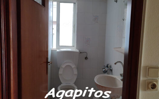 ΑΛΙΚΑΡΝΑΣΣΟΣ